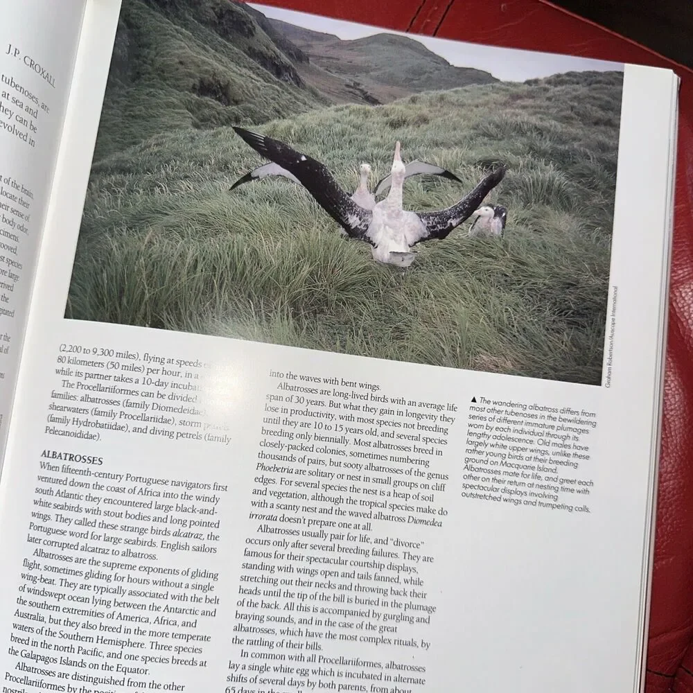 The Encyclopedia of Birds by Per‎ Christiansen (1991, Hardcover) Coffee table